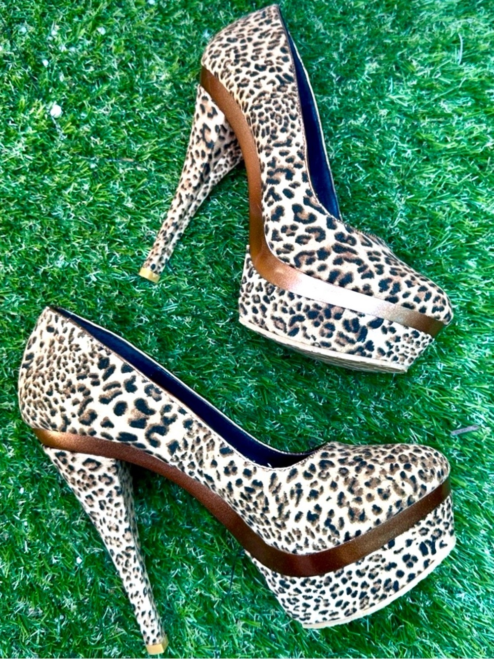 Leopard Print Platform Pumps in Brown